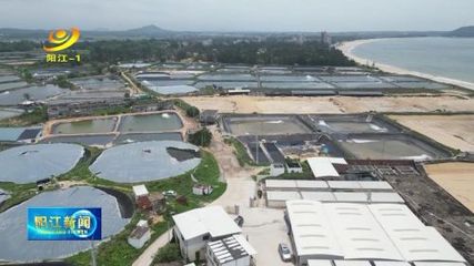 阳江 水产种业工厂化模式，助推海水养殖高质量发展