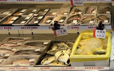 耕海牧渔新篇章 钱大妈&从海水产王特鲳标准养殖示范基地正式揭牌